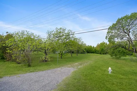 a view of a field with grass