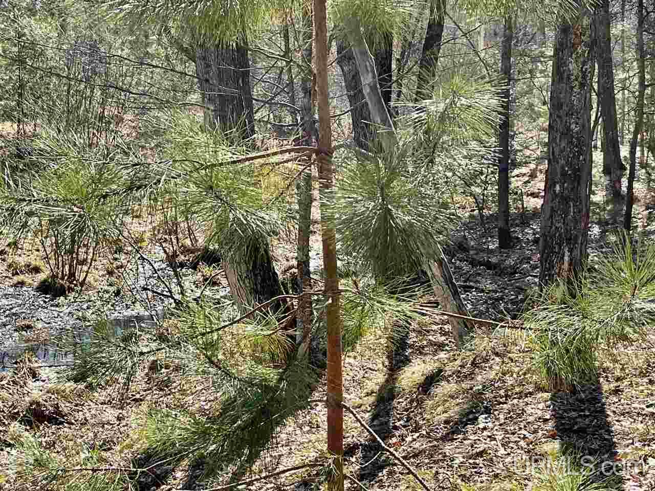 70 Old Highway 70 Road Minocqua, WI 54548 - Photo 11 of 11