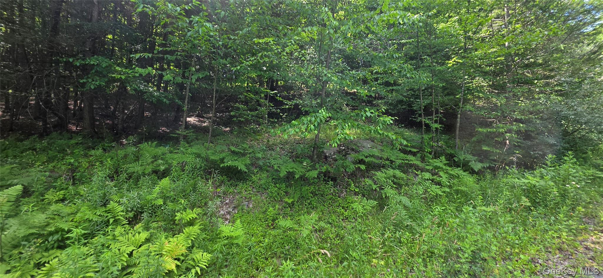 290 Cypert Road Woodbourne, NY 12788 - Photo 17 of 23
