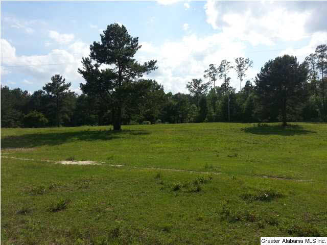 505 County Road, Unit 80 Marbury, AL 36051 - Photo 3 of 13