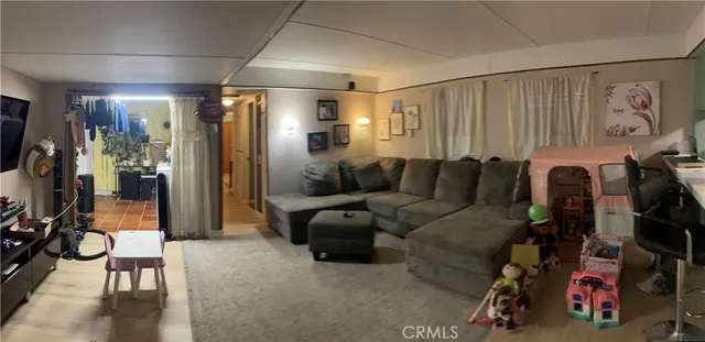 a room with furniture and a potted plant