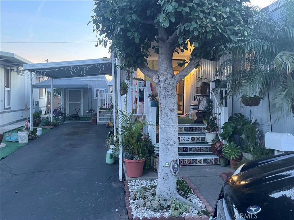22600 Normandie Avenue, Unit 32 Torrance, CA 90502 - Photo 7 of 40 a view of a street with potted plants and large tree