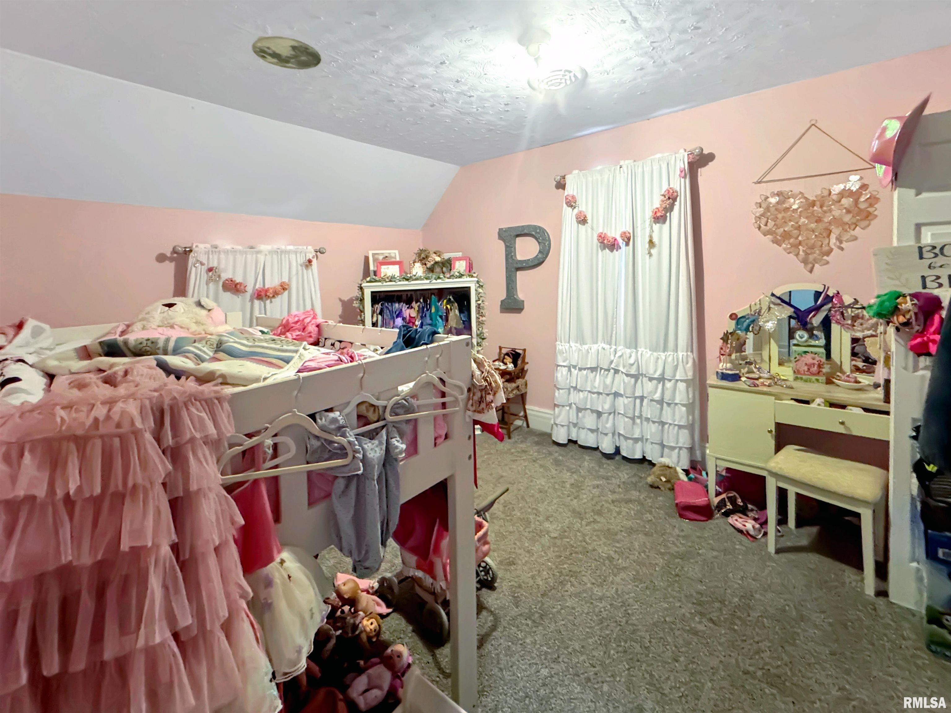 313 North Vermont Street Camp Point, IL 62320 - Photo 14 of 19 Gallery Image 14