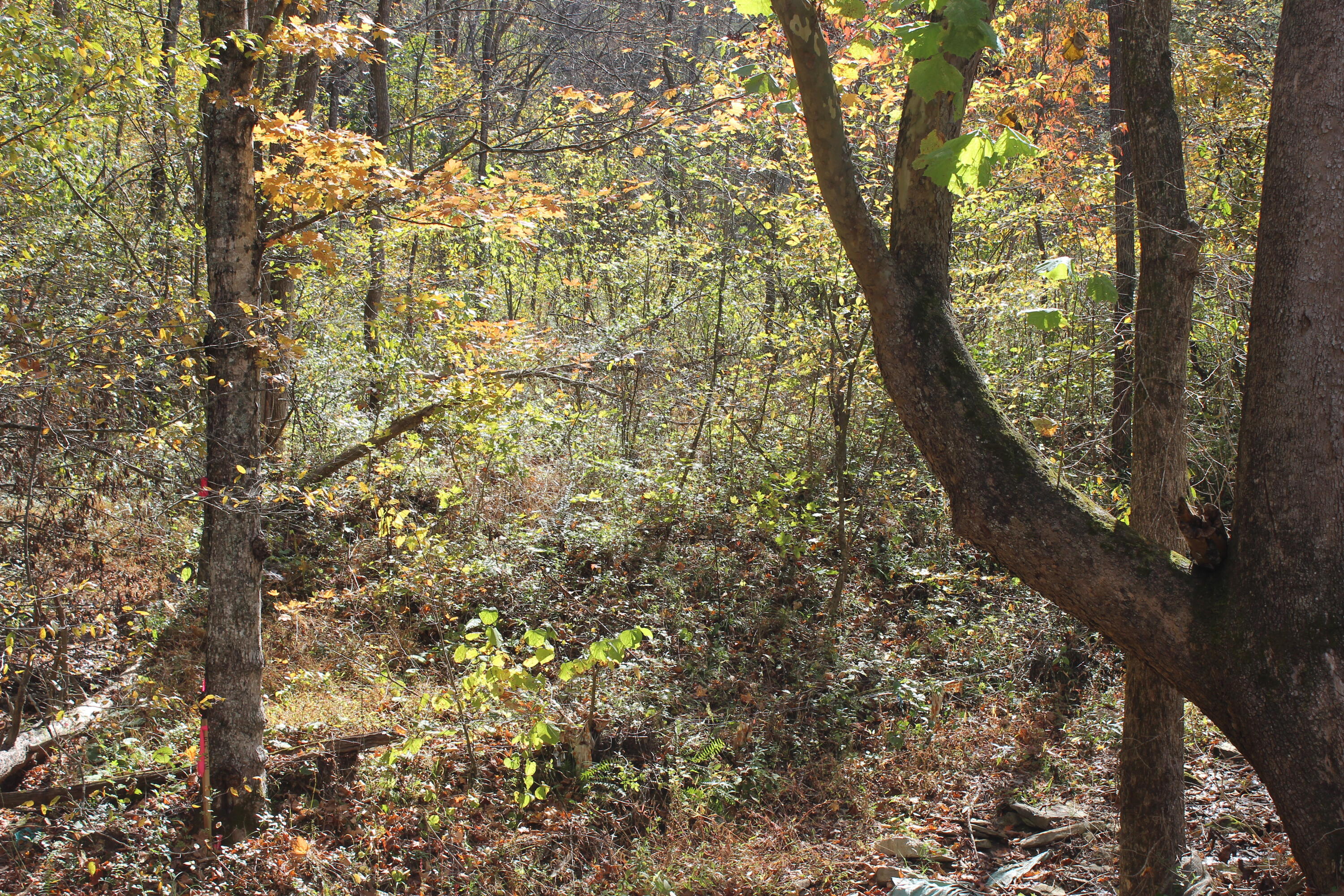 683 Adams Branch Road Frenchburg, KY 40322 - Photo 25 of 26 15