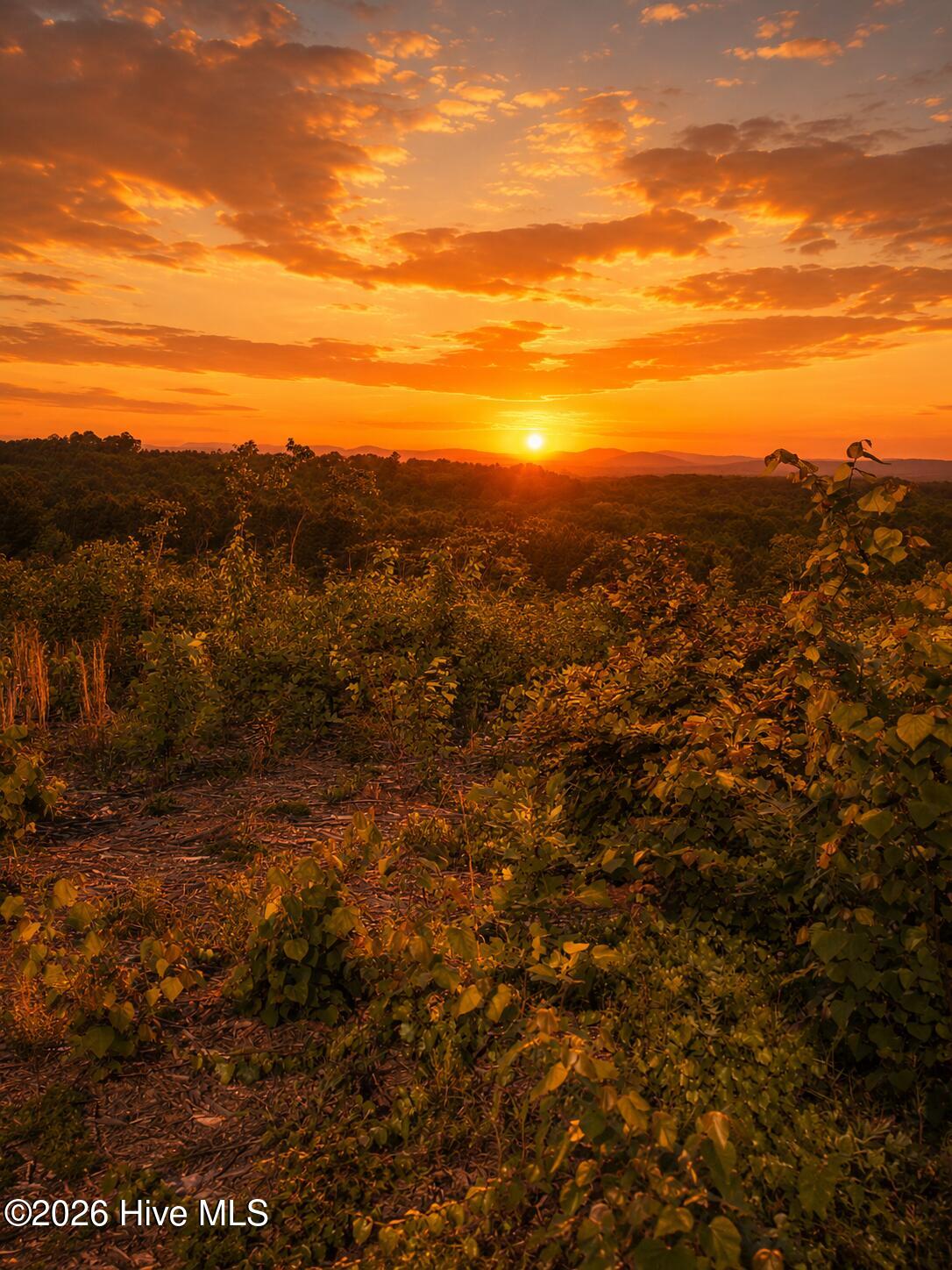 7740383679 Skeen View Road Asheboro, NC 27205 - Photo 4 of 15 sunset skeen view