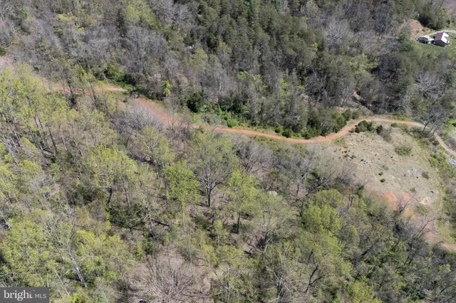 a view of a dry yard with trees