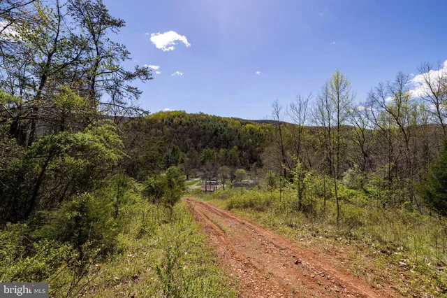 a view of a pathway both side of green field