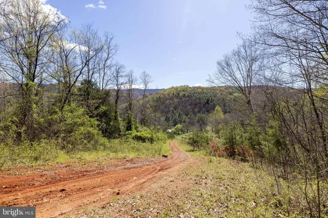 a view of a yard with a mountain