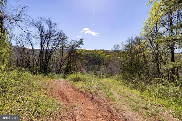 a view of outdoor space and trees all around
