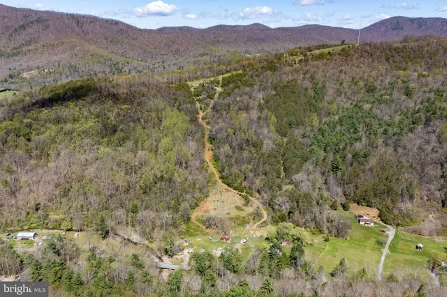 a view of a lush green hillside and a houses