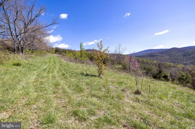 a view of a lush green field with mountains in the background
