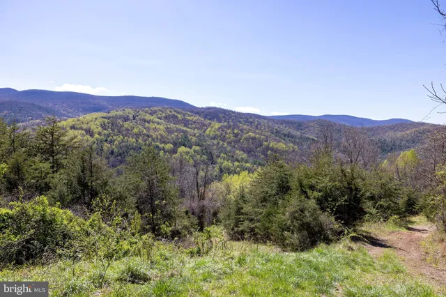 a view of a dry field with mountains in the background