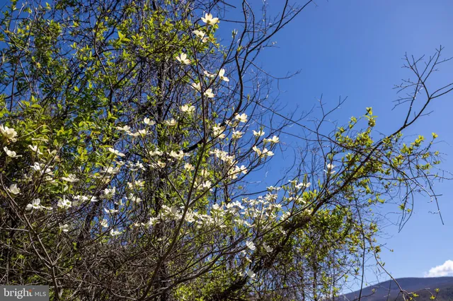 $199,900 | 0 Jollett Road, Elkton, VA 22827