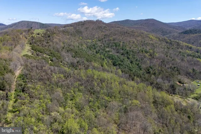 a view of a mountain range with trees in the background