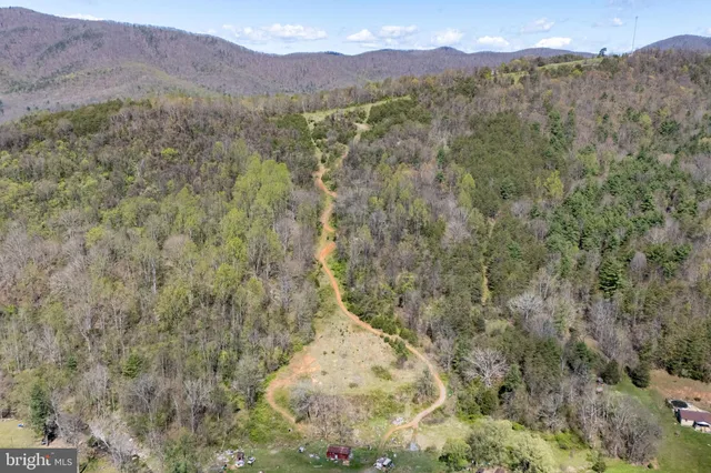 a view of a forest with mountains in the background
