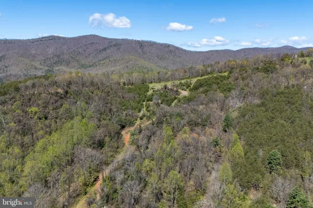 a view of a lush green hillside and a mountain