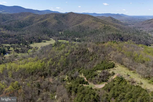 a view of a lush green hillside and a houses