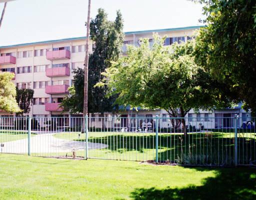 Primary Photo