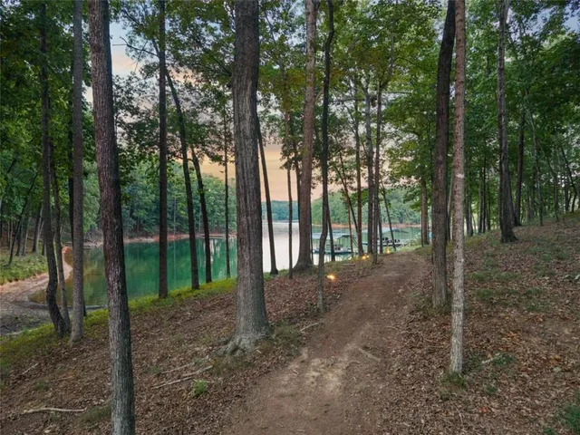 a view of a yard in front of a house with large tree