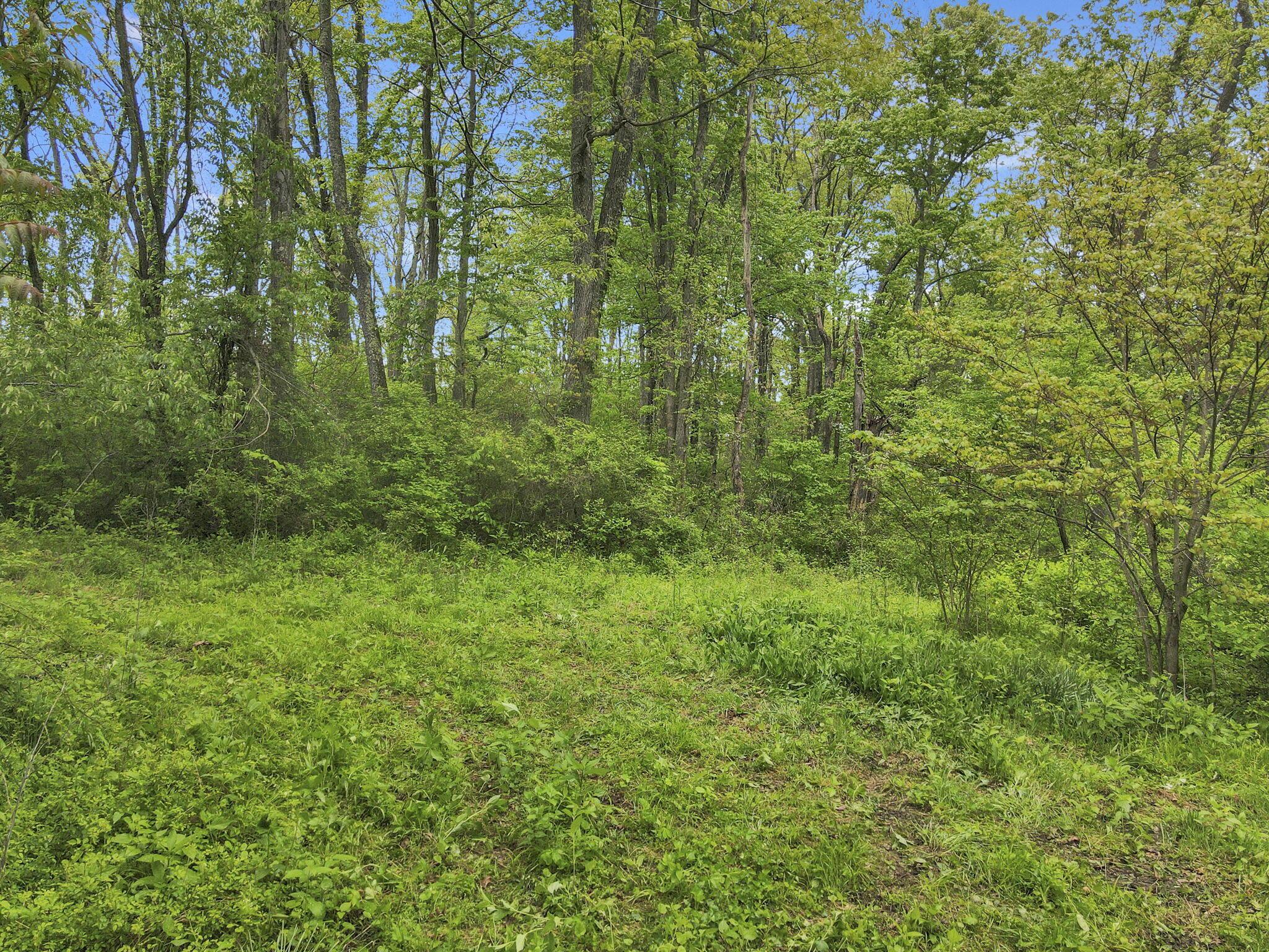 29500 Fairview Ridge Road Logan, OH 43138 - Photo 4 of 73 3-web-or-mls-DJI_0681