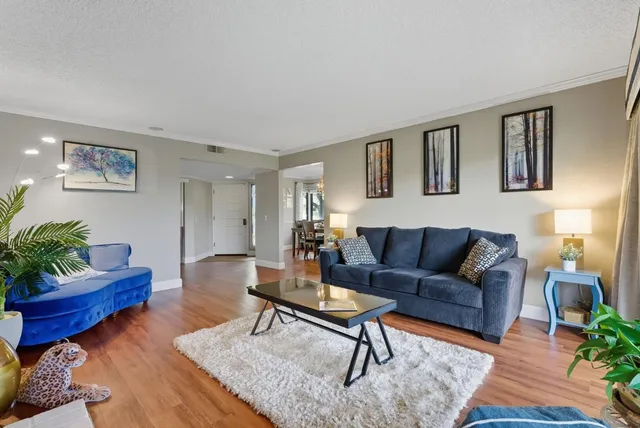 a living room with furniture a rug and a potted plant
