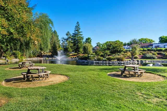 a view of a park with large trees