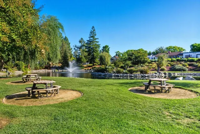 a view of a park with large trees