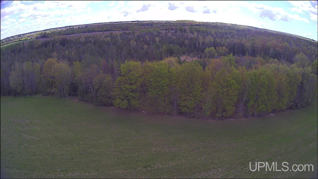 N19598 Swede Road Perronville, MI 49873 - Photo 5 of 59