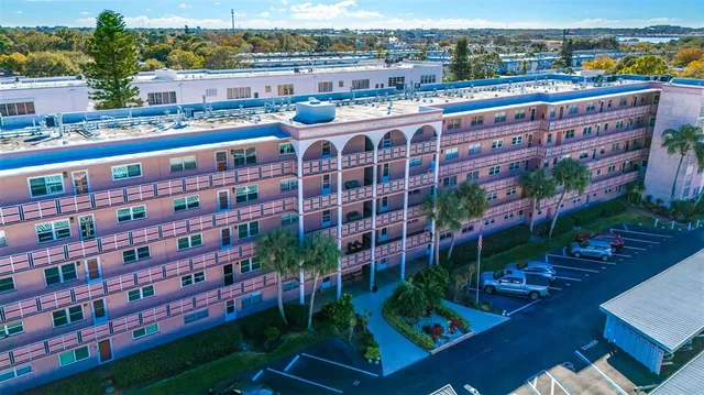 a view of banana tree