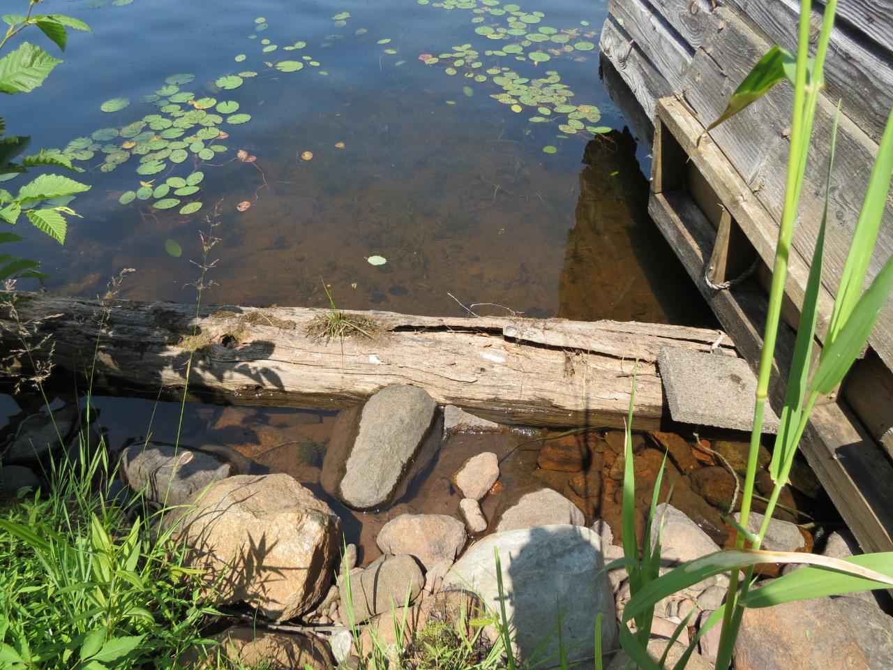 5636 Chaney Lake Road Wakefield, MI 49968 - Photo 19 of 66 Gallery Image 19