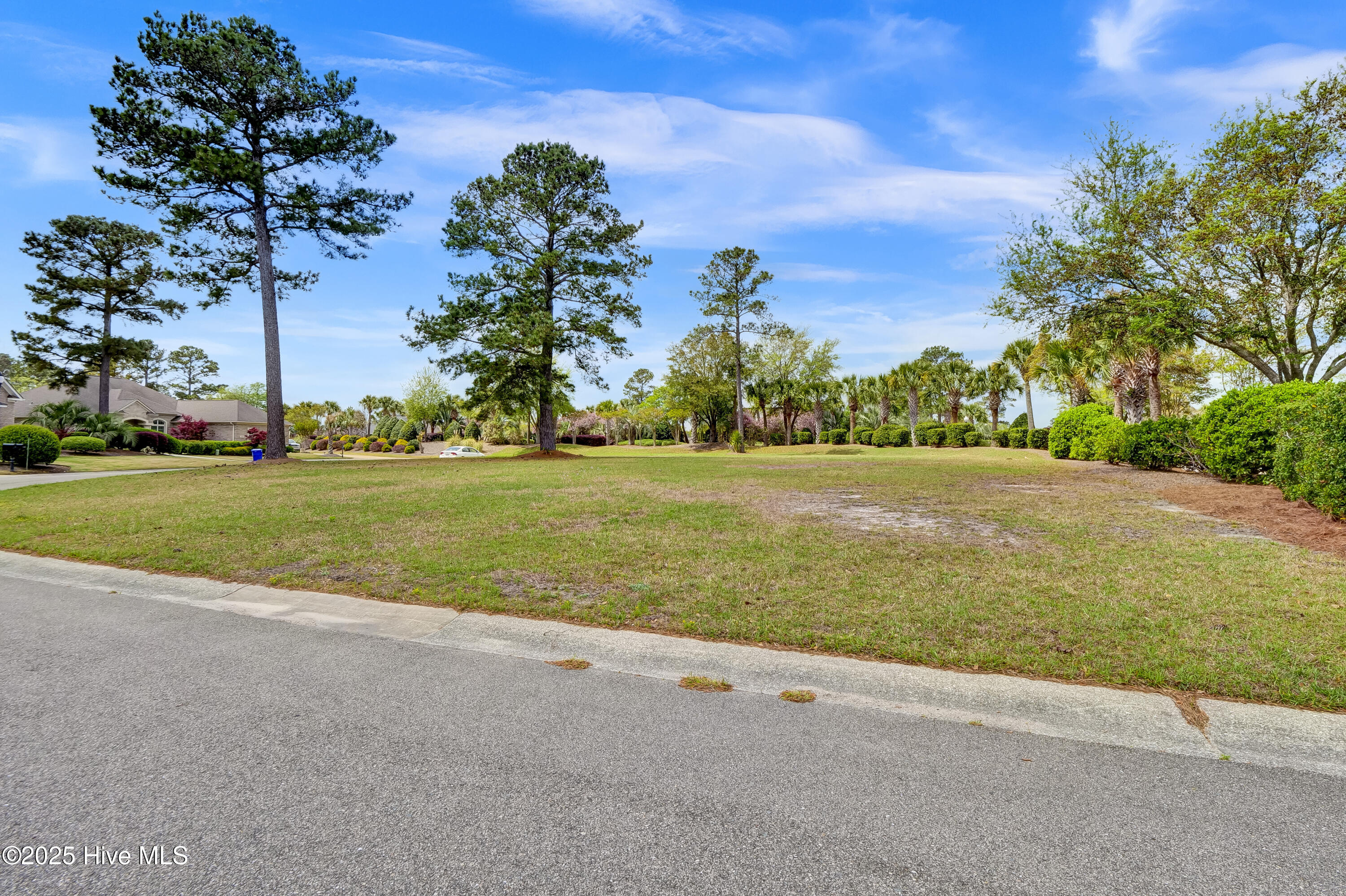 1007 Natural Springs Way Leland, NC 28451 - Photo 11 of 25 1007 Natural Springs Way