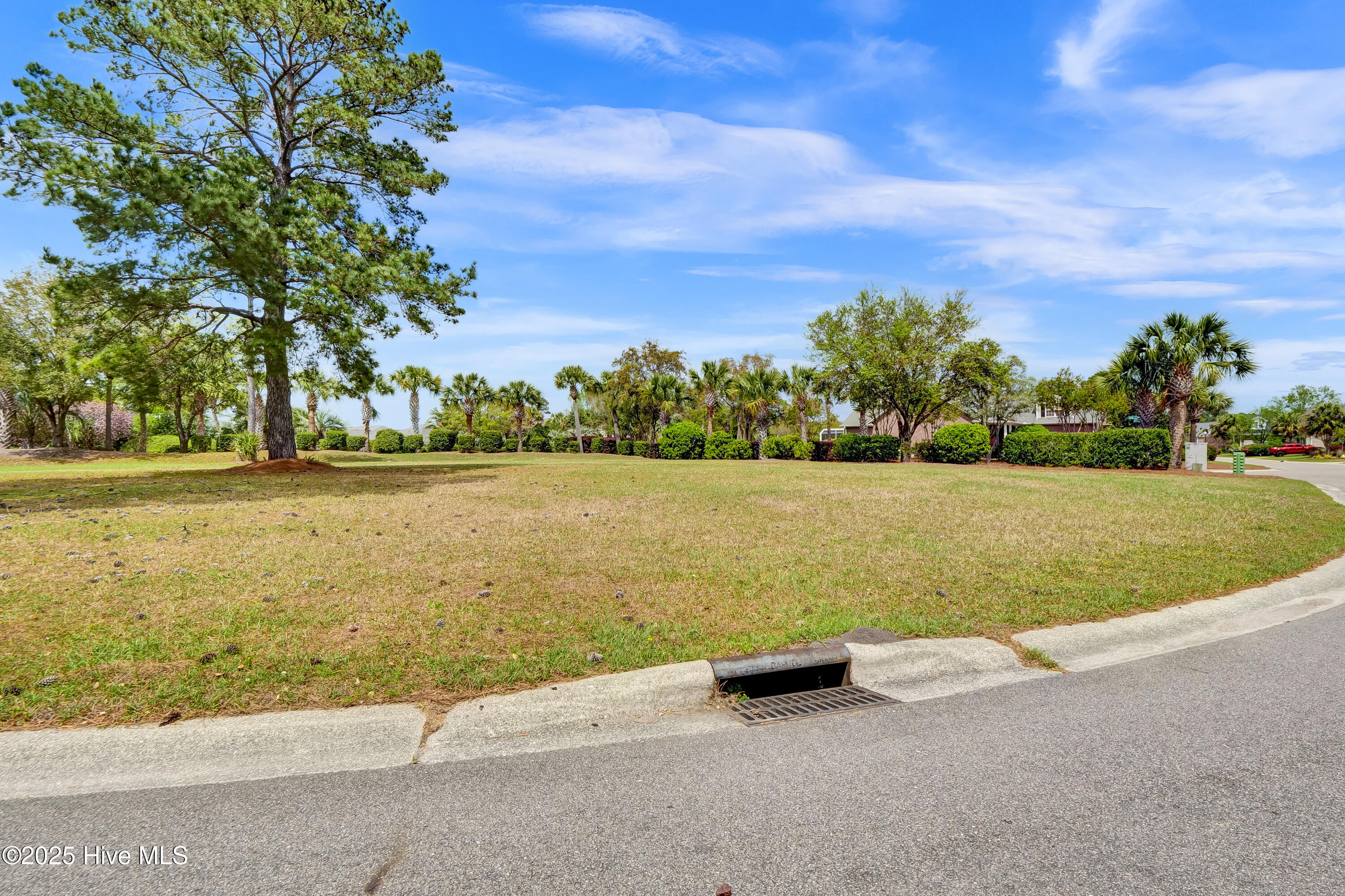 1007 Natural Springs Way Leland, NC 28451 - Photo 12 of 25 1007 Natural Springs Way