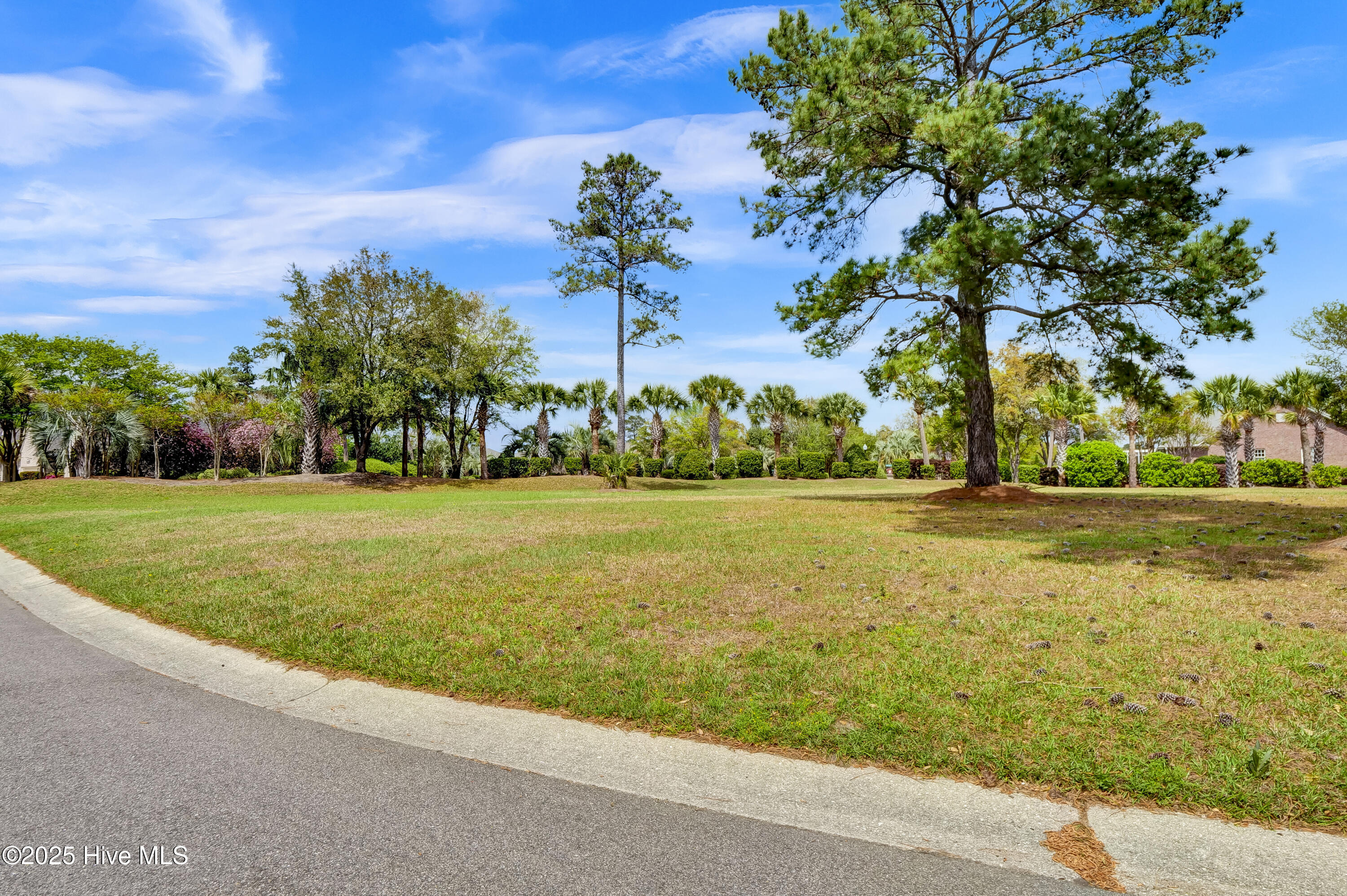 1007 Natural Springs Way Leland, NC 28451 - Photo 13 of 25 1007 Natural Springs Way