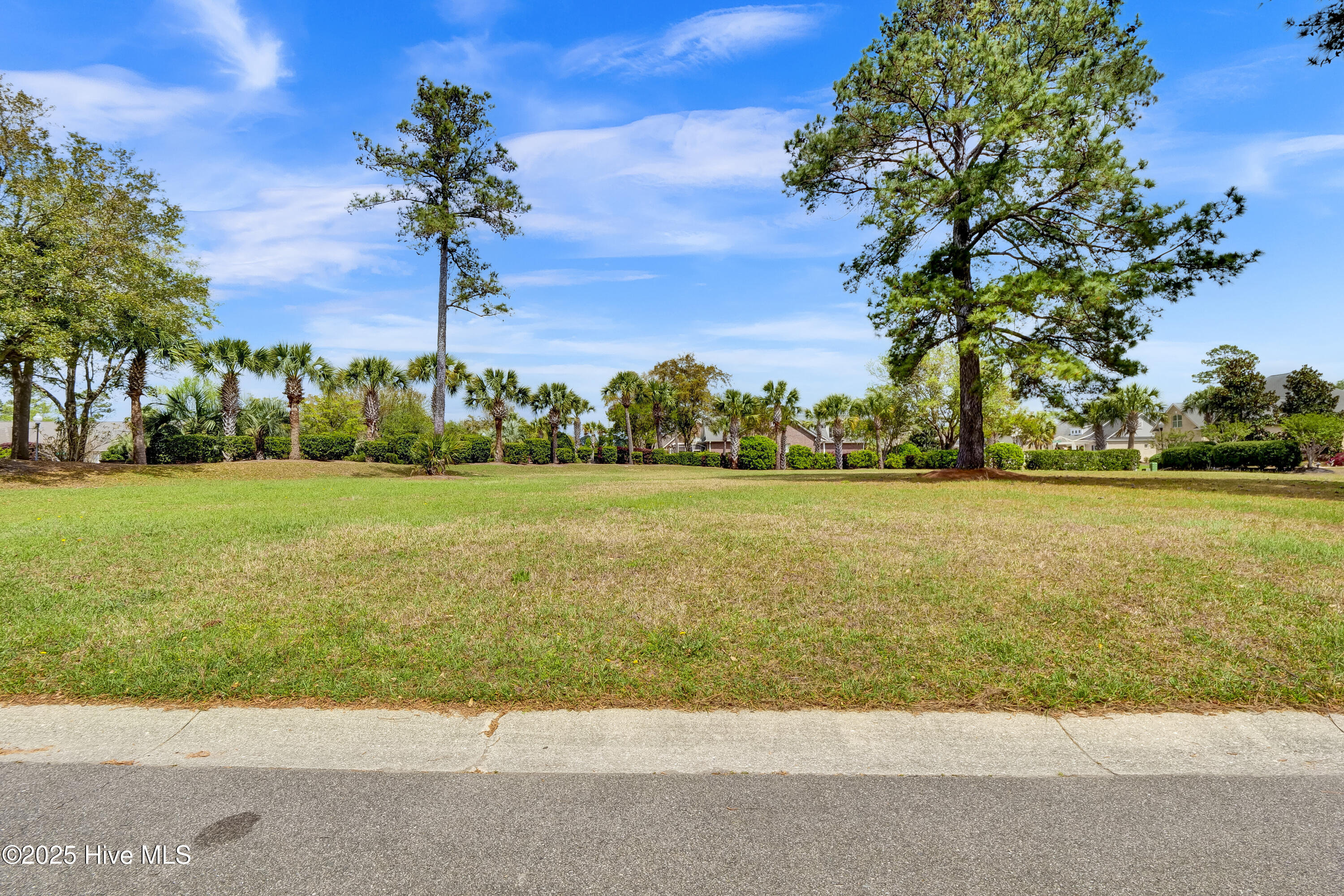 1007 Natural Springs Way Leland, NC 28451 - Photo 14 of 25 1007 Natural Springs Way