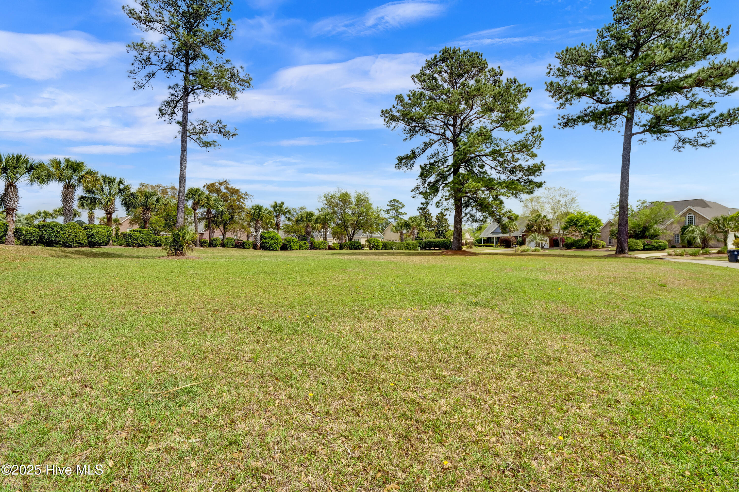 1007 Natural Springs Way Leland, NC 28451 - Photo 15 of 25 1007 Natural Springs Way