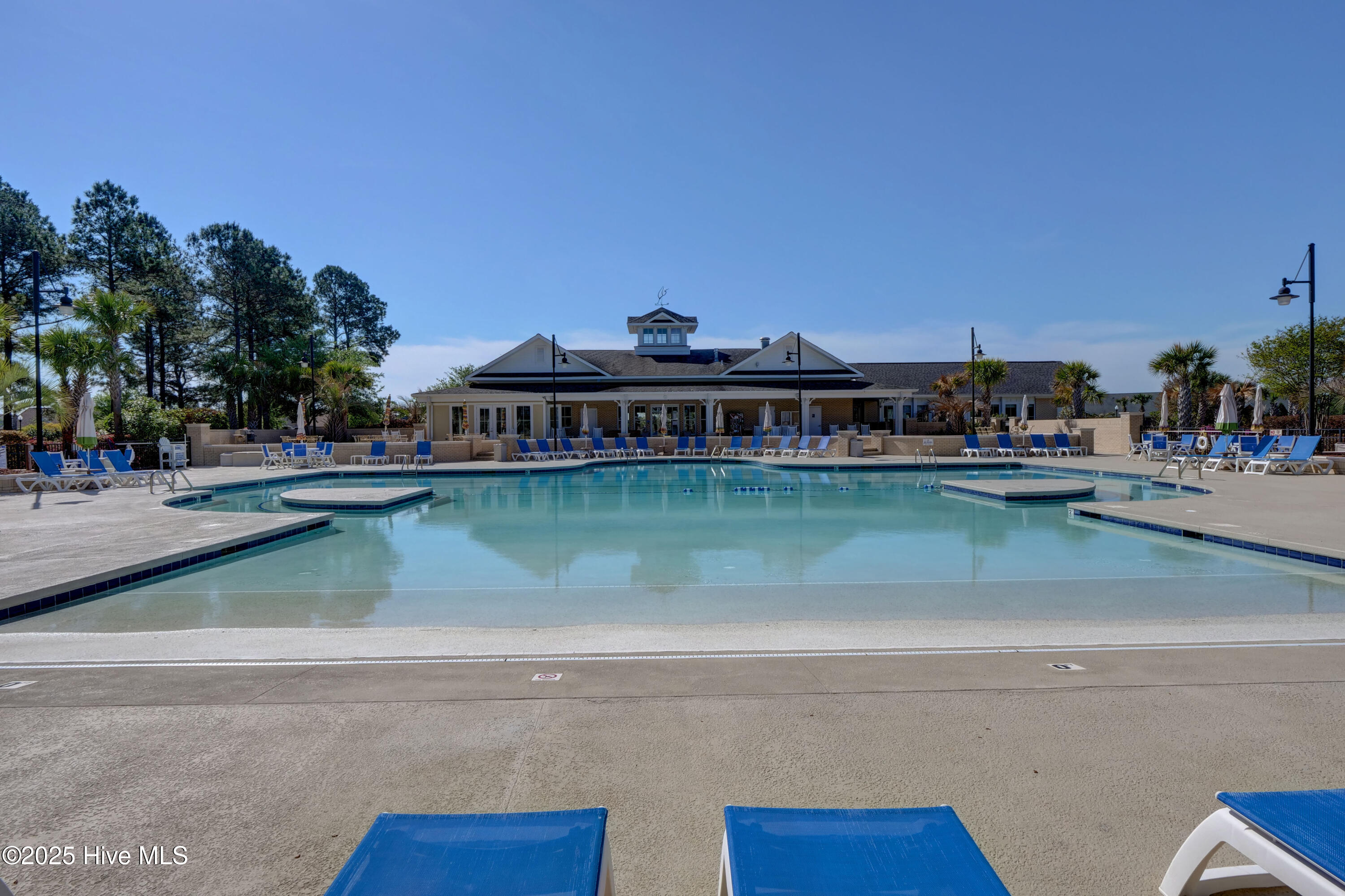 1007 Natural Springs Way Leland, NC 28451 - Photo 17 of 25 Waterford Pool