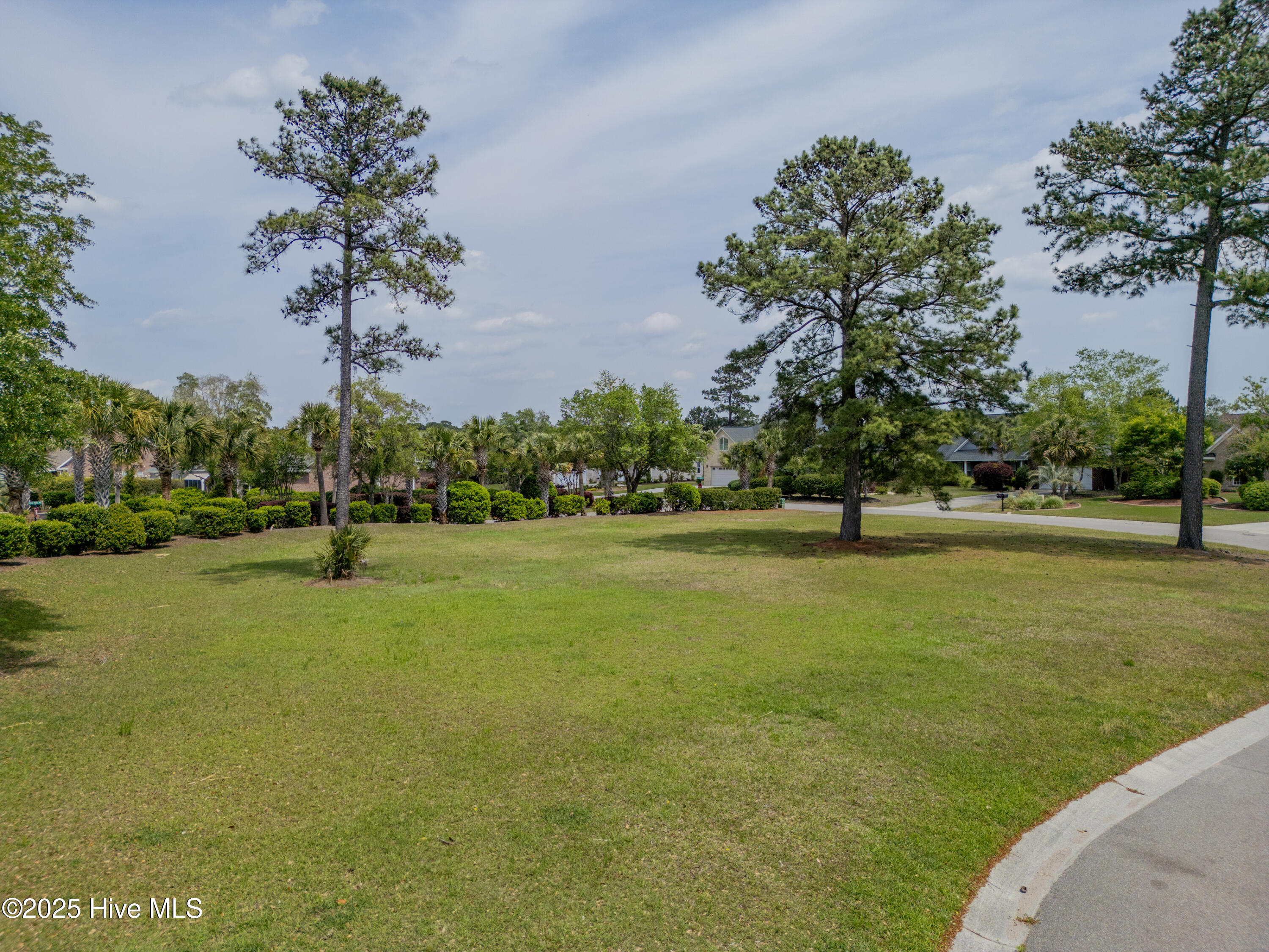 1007 Natural Springs Way Leland, NC 28451 - Photo 2 of 25 1007 Natural Springs Way
