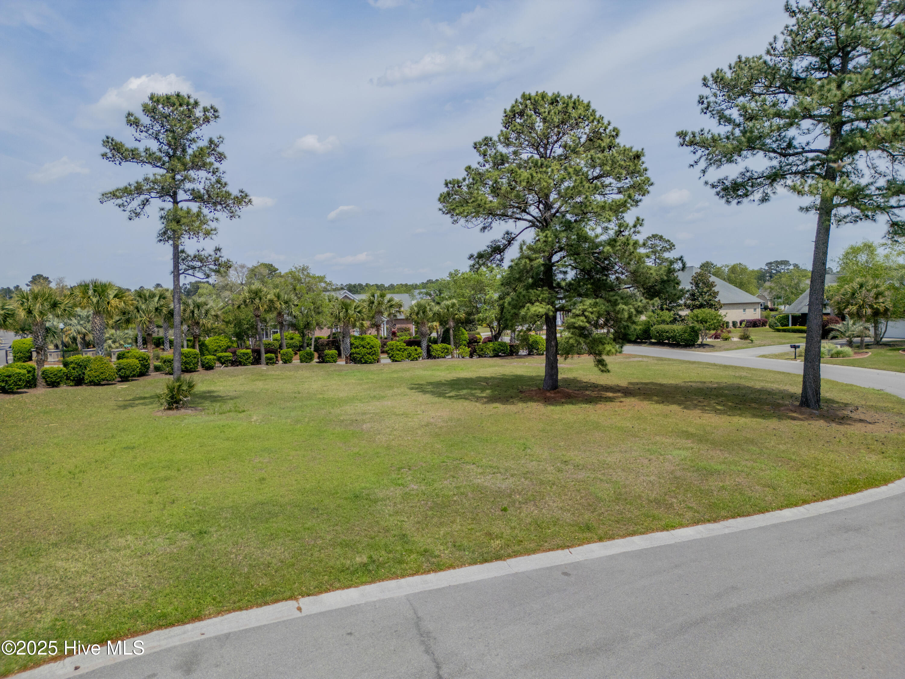 1007 Natural Springs Way Leland, NC 28451 - Photo 3 of 25 1007 Natural Springs Way
