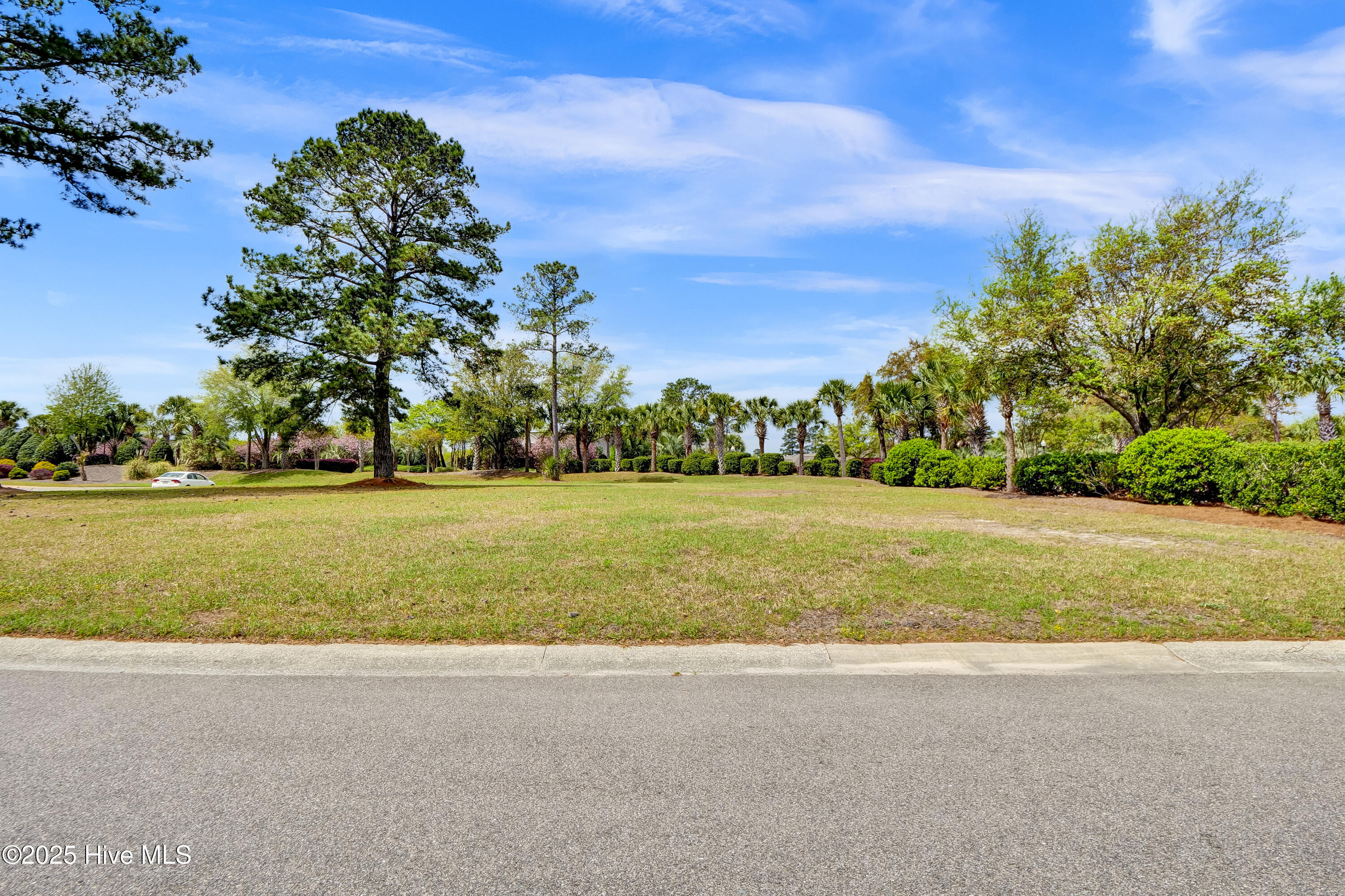 1007 Natural Springs Way Leland, NC 28451 - Photo 4 of 25 Road View