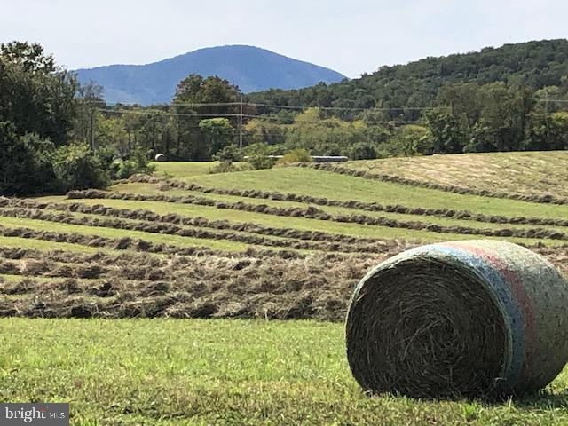0 Hume Road Huntly, VA 22640 - Photo 1 of 11 A piece of heaven in the country