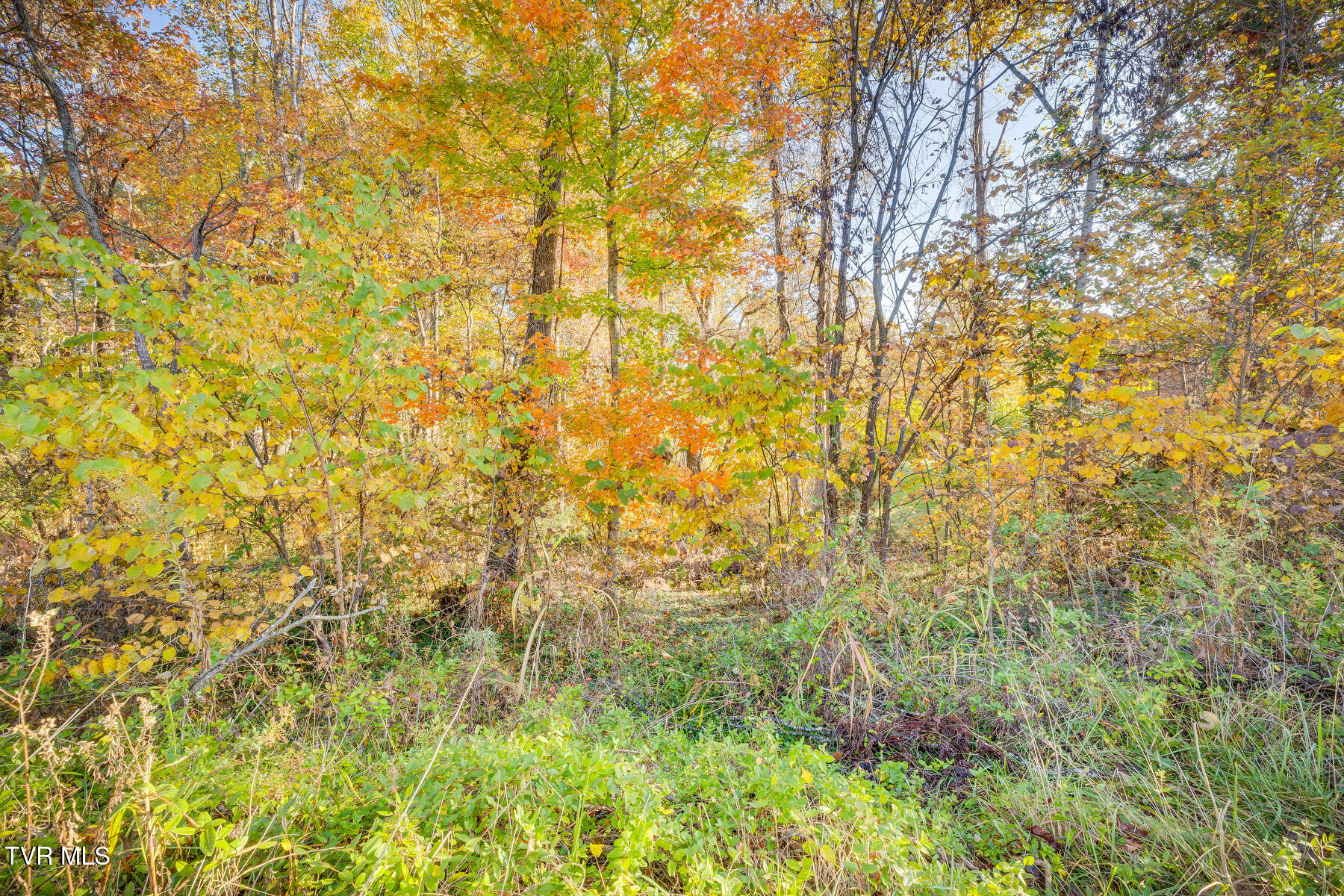 Tbd Old Jonesborough Road Jonesborough, TN 37659 - Photo 4 of 15 004