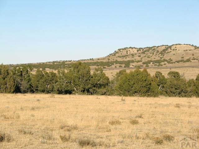 19 Salt Creek Road Pueblo, CO 81004 - Photo 18 of 25 Gallery Image 18