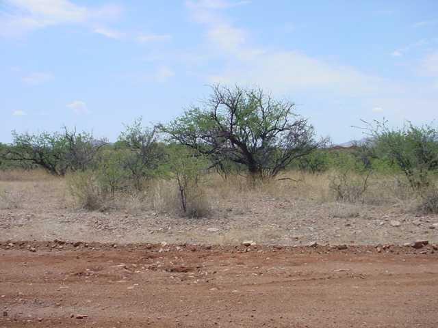 233 Via Ventosa Rio Rico, AZ 85648 - Photo 4 of 4