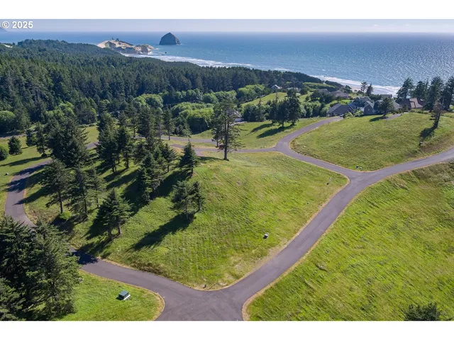 a view of a back yard of a house