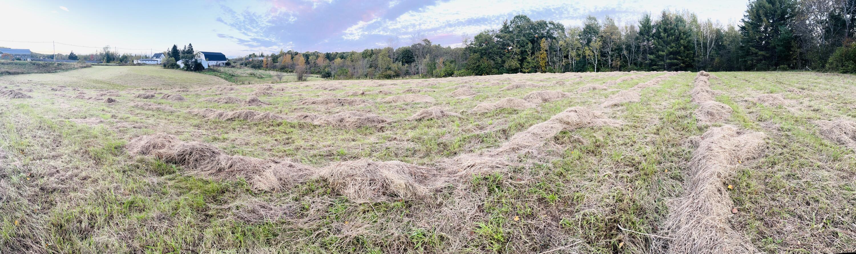 Tbd Main Street Orono, ME 04473 - Photo 11 of 11 IMG_1965