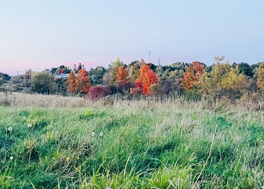 Tbd Main Street Orono, ME 04473 - Photo 8 of 11 IMG_9391