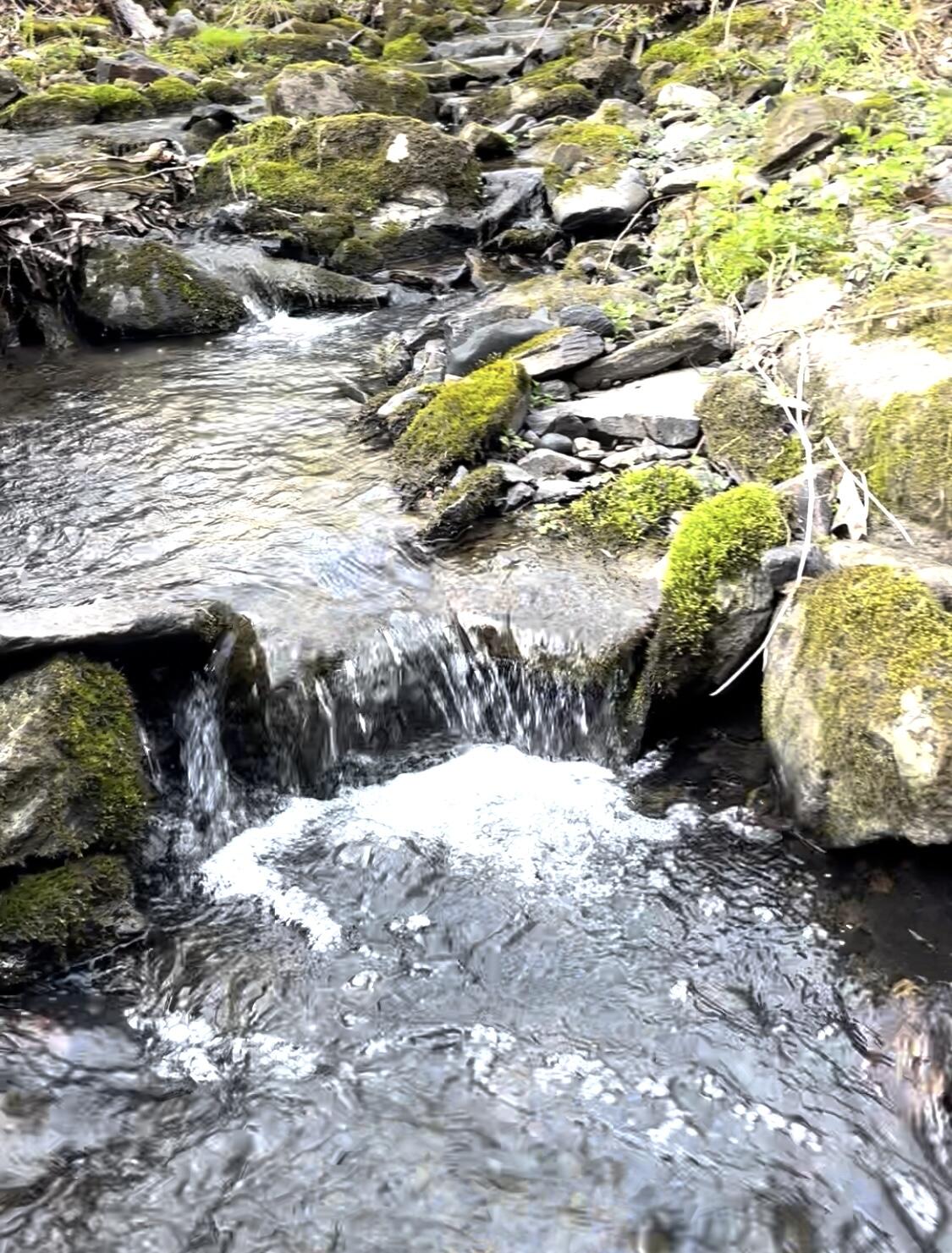 Tbd Main Street Orono, ME 04473 - Photo 9 of 11 IMG_9388