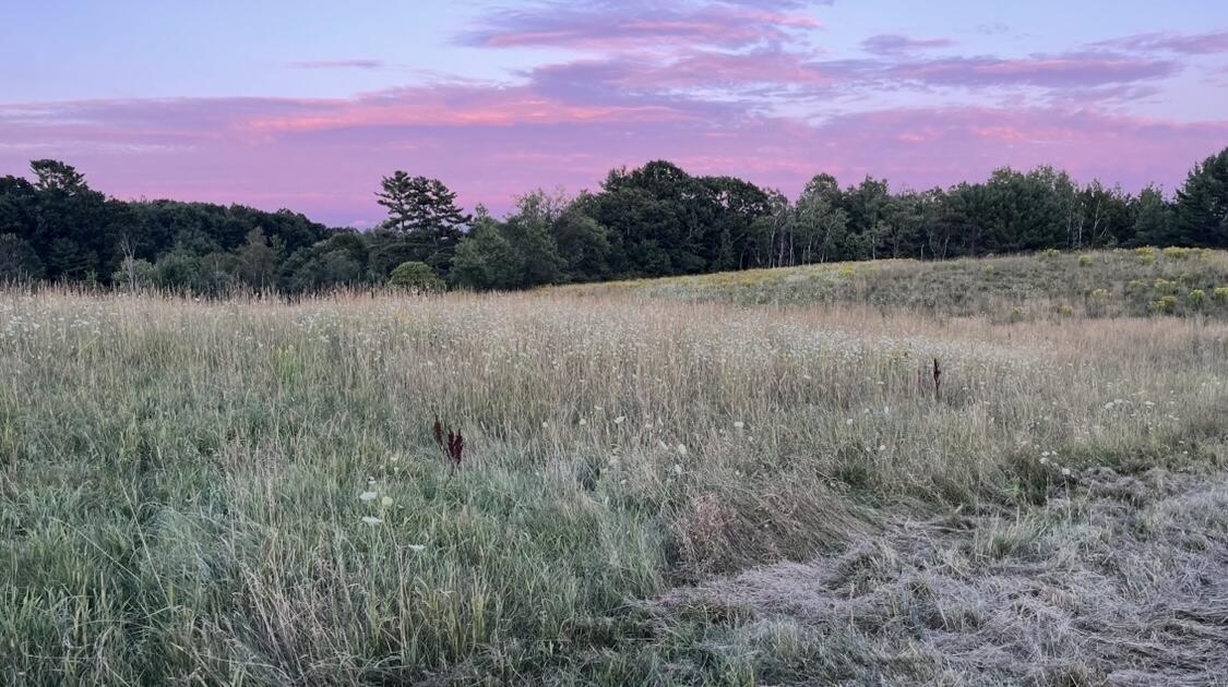 Tbd Main Street Orono, ME 04473 - Photo 10 of 11 IMG_9390