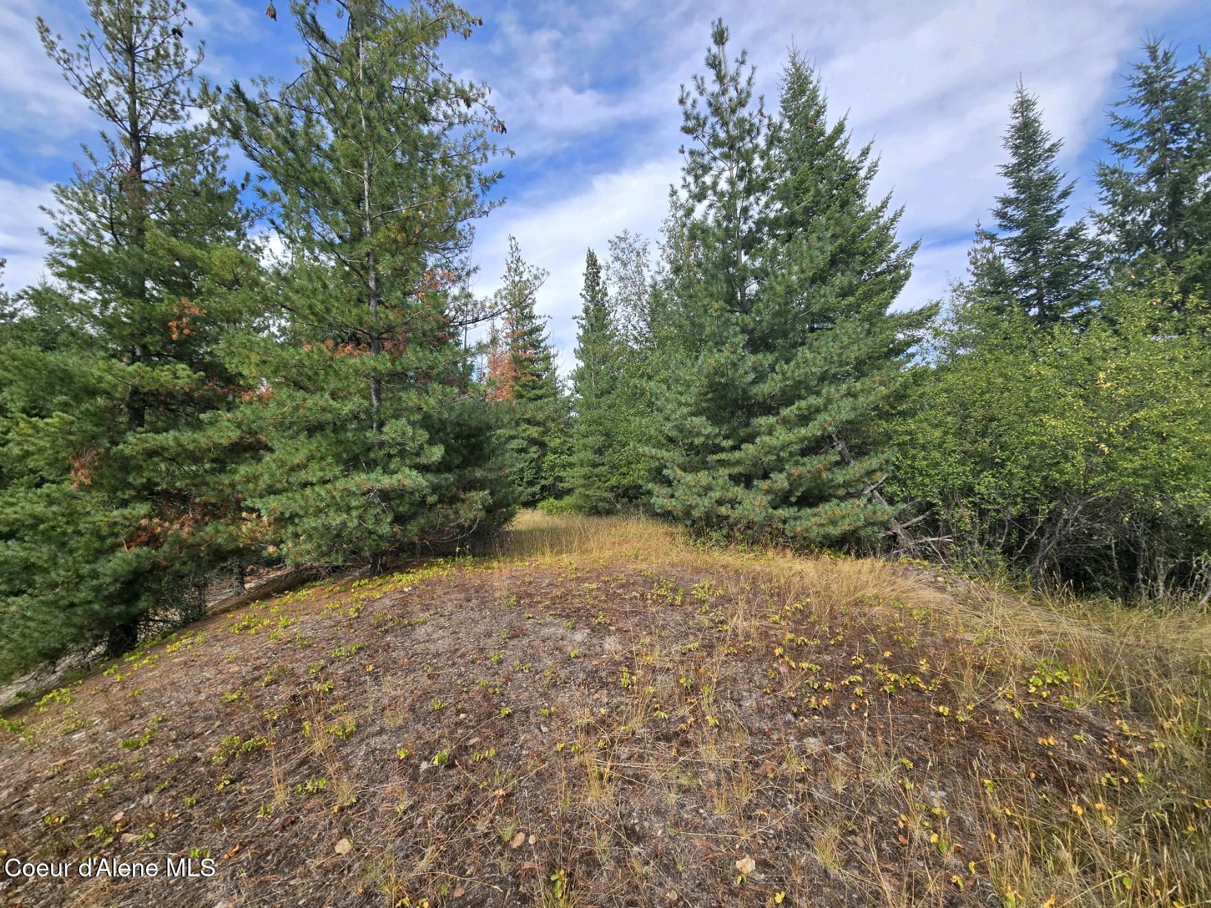 Nna-g Silver Valley Road Kellogg, ID 83837 - Photo 14 of 22 19-4429
