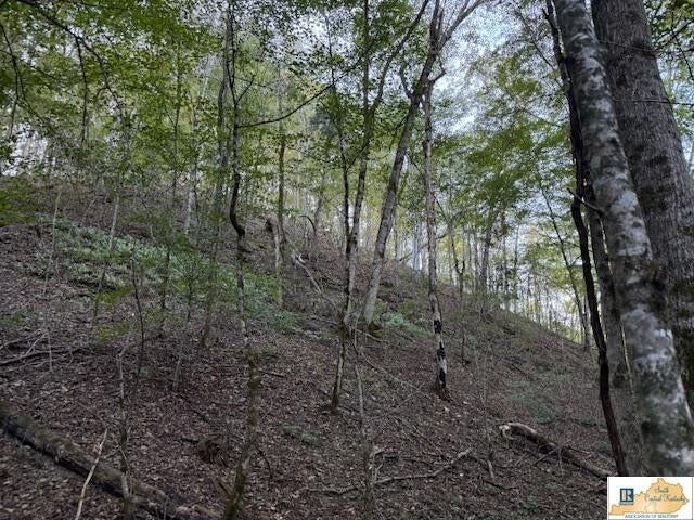 20-ac Neat Road Columbia, KY 42728 - Photo 27 of 29 Gallery Image 27